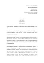 Eseja 'Subkultūra. Stila nozīme', 1.