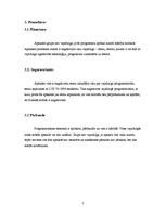 Konspekts 'Programmatūras izstrādes plāna apskate', 7.