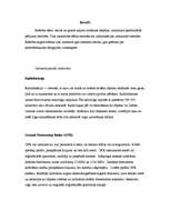 Referāts 'Smilts un grants meklēšanā un izpētē pielietojamās ģeofizikālās metodes (ģeoloģi', 2.