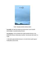 Referāts 'Smilts un grants meklēšanā un izpētē pielietojamās ģeofizikālās metodes (ģeoloģi', 6.