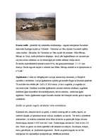 Referāts 'Smilts un grants meklēšanā un izpētē pielietojamās ģeofizikālās metodes (ģeoloģi', 11.