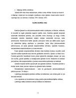 Referāts 'Laulāto konfliktu cēloņi un sekas', 11.