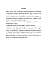 Referāts 'Cilvēktiesību ievērošana policijas darbā, izpratne un būtība', 19.