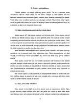 Referāts 'Reklāmas politika mazumtirdzniecības uzņēmumā', 6.