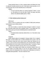 Referāts 'Reklāmas politika mazumtirdzniecības uzņēmumā', 8.