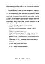 Referāts 'Baroks Jelgavas pilī', 7.