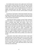 Referāts 'Baroks Jelgavas pilī', 16.