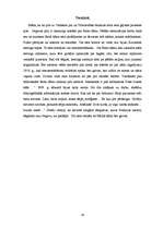 Referāts 'Baroks Jelgavas pilī', 19.