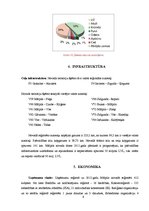 Referāts 'Mālpils novada esošās situācijas raksturojums un analīze', 9.