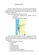 Referāts 'Romantisma māksla ikdienā, viesu nams "Nīcava"', 4.