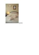 Referāts 'Romantisma māksla ikdienā, viesu nams "Nīcava"', 17.