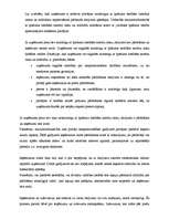 Referāts 'Ieņēmumi, ieņēmumu atzīšana', 12.