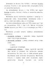 Referāts 'Metālu termiskā apstrāde', 9.