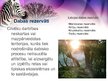 Prezentācija 'Aizsargājamās dabas teritorijas', 4.