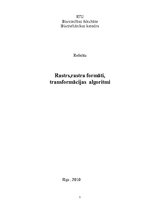 Referāts 'Rastra formāti', 1.
