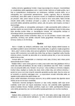 Referāts 'Rastra formāti', 3.