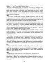 Referāts 'Rastra formāti', 6.