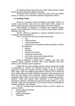 Prakses atskaite 'Dažādu organizāciju personāldaļu darba novērošanas un salīdzināšanas prakse', 16.