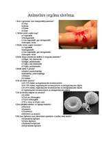 Konspekts 'Asinsrites orgānu sistēma. Tests', 1.