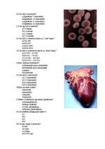 Konspekts 'Asinsrites orgānu sistēma. Tests', 2.