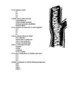 Konspekts 'Asinsrites orgānu sistēma. Tests', 3.