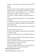 Diplomdarbs 'Bērnu tiesību aizsardzības vēsturiskā attīstība', 58.