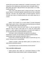 Referāts 'Invalīdu nodarbinātības iespējas darba tirgū', 16.