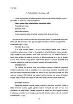 Referāts 'Invalīdu nodarbinātības iespējas darba tirgū', 19.