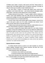 Referāts 'Pierādījumu novērtēšana civilprocesā', 19.