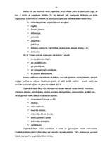 Diplomdarbs 'Uzņēmējdarbības vadības novērtējums uzņēmumā "AAA"', 6.