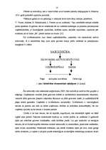 Diplomdarbs 'Uzņēmējdarbības vadības novērtējums uzņēmumā "AAA"', 10.