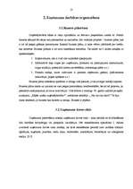 Diplomdarbs 'Uzņēmējdarbības vadības novērtējums uzņēmumā "AAA"', 14.