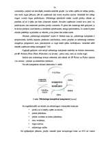 Diplomdarbs 'Uzņēmējdarbības vadības novērtējums uzņēmumā "AAA"', 30.