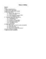 Referāts 'Mārketinga stratēģiskā plānošana uzņēmumā "Velve"', 1.