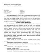 Referāts 'Mārketinga stratēģiskā plānošana uzņēmumā "Velve"', 11.