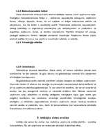 Referāts 'Mārketinga stratēģiskā plānošana uzņēmumā "Velve"', 18.