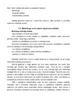 Referāts 'Mārketinga stratēģiskā plānošana uzņēmumā "Velve"', 19.