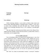 Referāts 'Mārketinga stratēģiskā plānošana uzņēmumā "Velve"', 21.