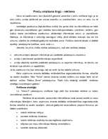 Referāts 'Mārketinga stratēģiskā plānošana uzņēmumā "Velve"', 25.