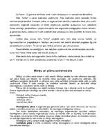 Referāts 'Mārketinga stratēģiskā plānošana uzņēmumā "Velve"', 30.