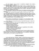 Referāts 'Mārketinga stratēģiskā plānošana uzņēmumā "Velve"', 31.