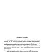 Referāts 'Mārketinga stratēģiskā plānošana uzņēmumā "Velve"', 42.