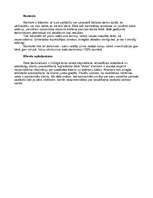 Referāts 'Mārketinga stratēģiskā plānošana uzņēmumā "Velve"', 46.