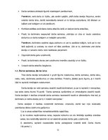 Referāts 'Darbinieku un darba devēju tiesības un pienākumi', 13.