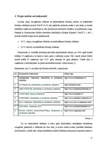 Biznesa plāns 'Biznesa plāns vannas kosmētikas ražotnei', 11.