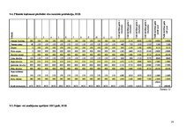 Biznesa plāns 'Biznesa plāns vannas kosmētikas ražotnei', 29.