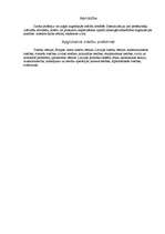 Konspekts 'Jurista darbs', 4.