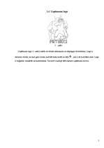 Biznesa plāns 'Biznesa plāns IK "Pirtnieks"', 5.