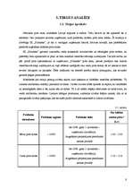 Biznesa plāns 'Biznesa plāns IK "Pirtnieks"', 9.