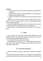 Biznesa plāns 'Biznesa plāns IK "Pirtnieks"', 11.